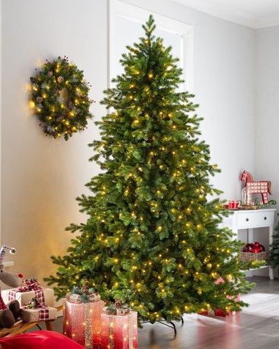Balsam fir christmas tree - fir,