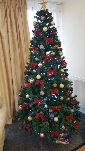 Christmas tree ft - tree,